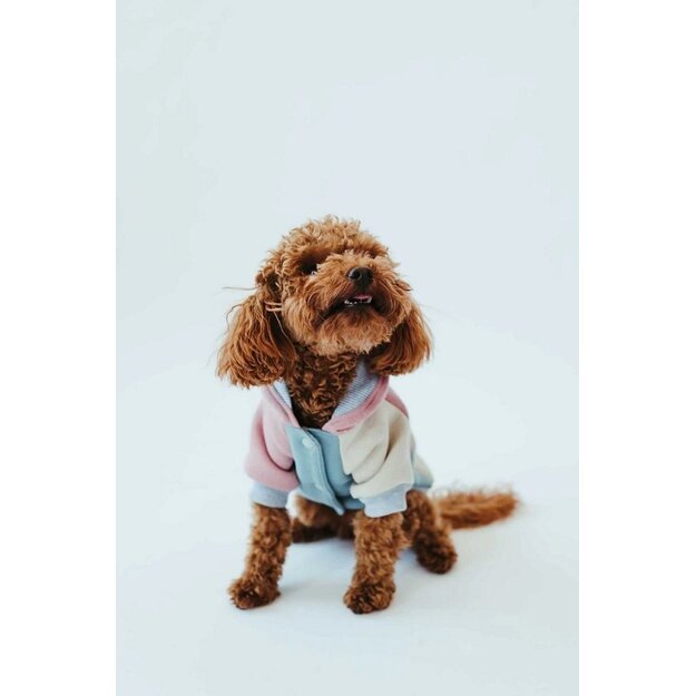 Dog onesie style Vintage