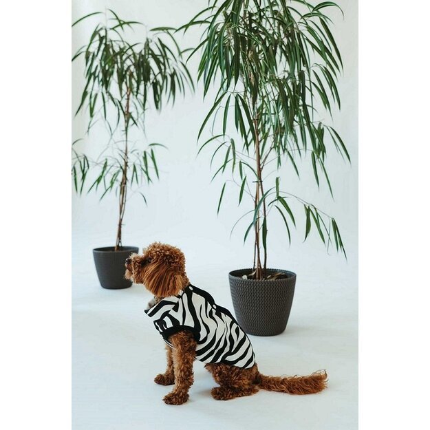 Dog onesie style Zebra