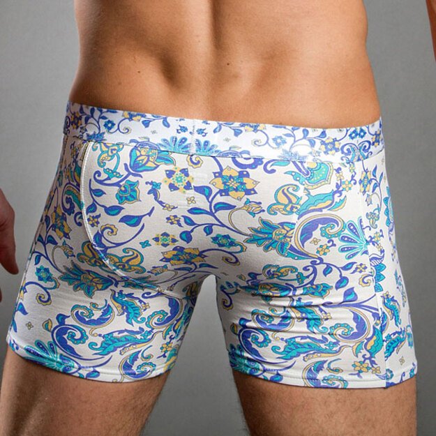 Doreanse Printed Boxer Brief Underwear 1818