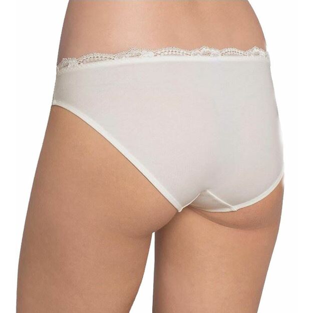 Triumph Delicate Minimizer Tai Brief