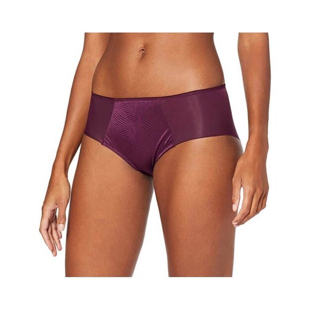 Triumph Essential Minimizer Hipster 