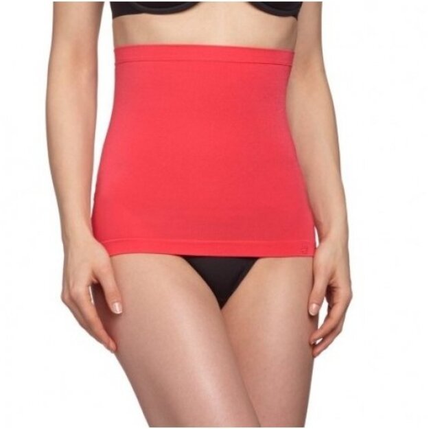 Triumph Trendy Sensation Waistslimmer Women s Underwear